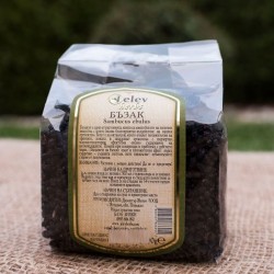 Бъзак – Sambucus ebulus JelevHerbs009