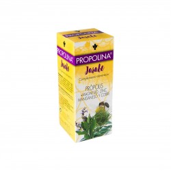 Сироп Propolina® (с прополис, магнезий, цинк, манган и мед), 200 ml