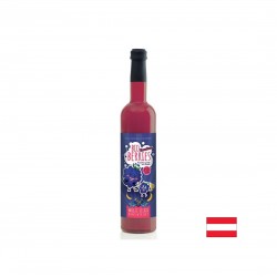 Плодов сок от къпини, боровинки, касис, арония и банани (концентрат), 750 ml