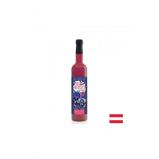 Плодов сок от къпини, боровинки, касис, арония и банани (концентрат), 750 ml