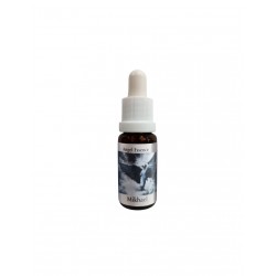 Подпомага комуникацията - Есенция Микаел (Angel Esssence № 18), капки 15 ml