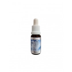 Подкрепя лечението - Есенция Рехаел (Angel Esssence № 19), капки 15 ml