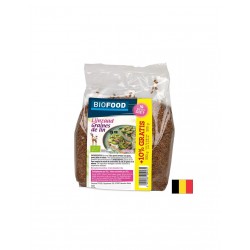 Ленено семе, БИО, 550 g