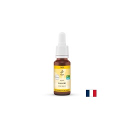 Цветна есенция Цикория (Chicory) N°8 – Безусловна обич и емоционална свобода, 20 ml капки