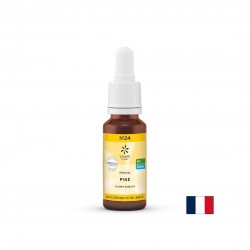 Цветна есенция Бял бор (Pine) N°24 – Самоприемане и освобождаване от вина, 20 ml капки