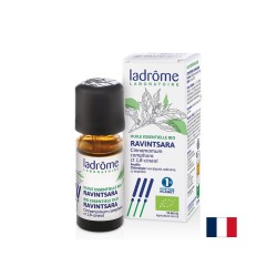 Камфорово дърво (Ravintsara) – За дихателен комфорт и релакс, етерично масло 10 ml