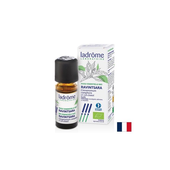 Камфорово дърво (Ravintsara) – За дихателен комфорт и релакс, етерично масло 10 ml