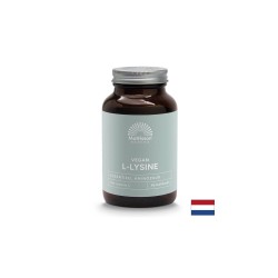 Херпес симплекс, кости и стави - Л-Лизин + Витамин С, 90 капсули Mattisson Healthstyle