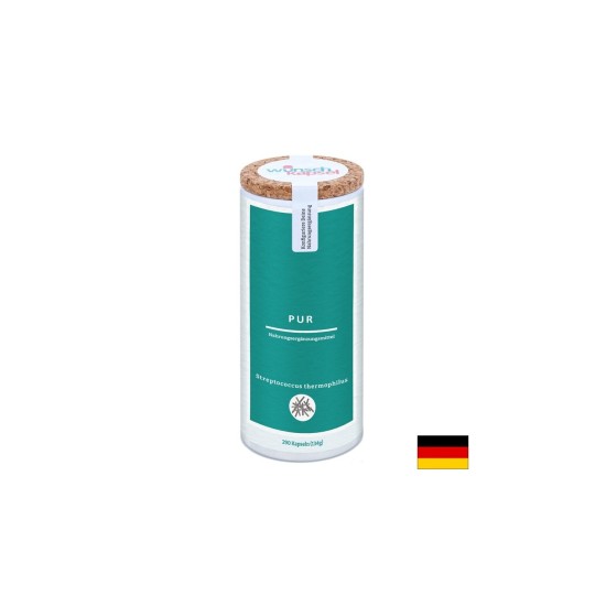 Пробиотик Стрептококус термофилус – Здрав чревен микробиом и храносмилане, 2 млрд. CFU, 290 капсули