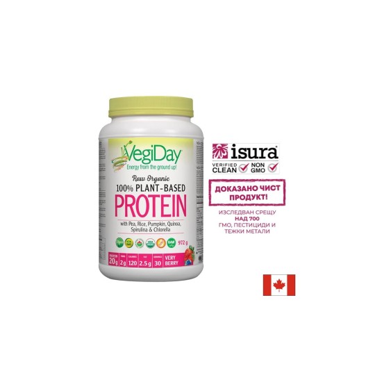 Растителен протеин VegiDay от 100% органичен грах, ориз и семена, 936 g, 30 дози, с вкус на горски плодове