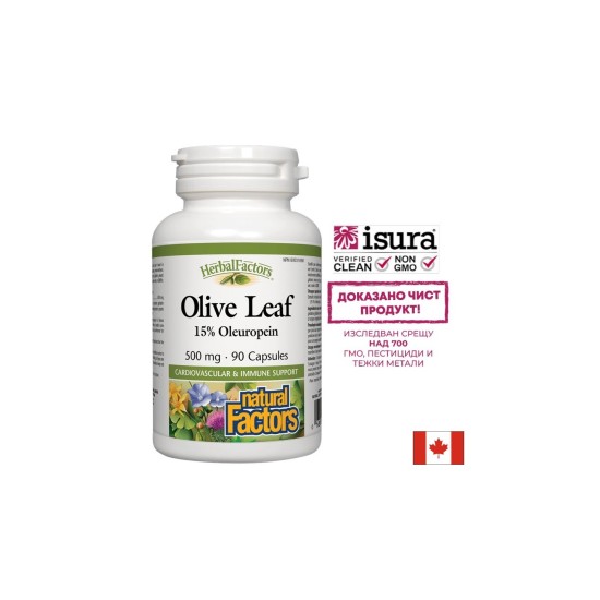 Olive Leaf / Маслина (лист) 500 mg х 90 капсули Natural Factors