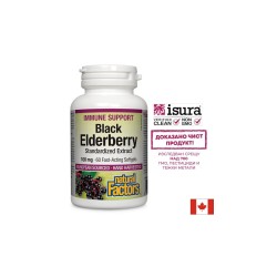 Black Elderberry Standardized Extract / Черен бъз /Стандартизиран екстракт/, 100 mg, 60 бързоусвоими софтгел капсули Natural Factors