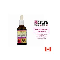 Простуда и грип Echinamide® - Тинктура с ехинацея, 50 ml (без алкохол) Natural Factors