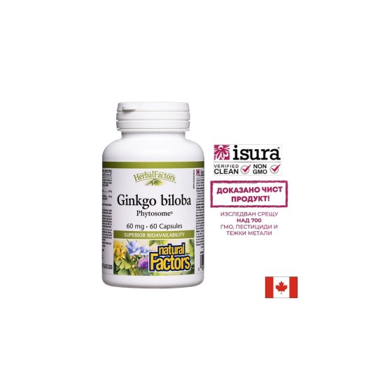 Памет и концентрация - Гинко билоба Фитозоми, 60 mg x 60 капсули