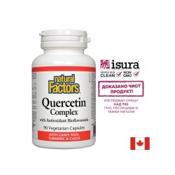 Quercetin Complex/ Кверцетин комплекс с Биофлавоноиди + гроздово семе, куркума и коензим Q10 х 90 капсули Natural Factors