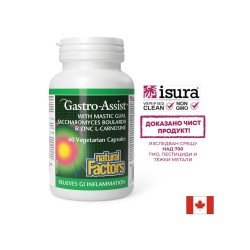 Мастикс, цинков карнозин и лайка за спокоен стомах - Gastro Assist, 60 капсули