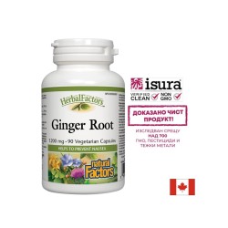 Ginger Root/ Джинджифил (корен) 450 mg х 90 капсули Natural Factors