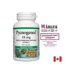 Pycnogenol® - Пикногенол, 25 mg, 60 капсули Natural Factors