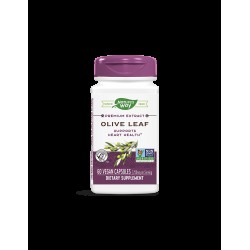 Olive Leaf / Маслина (лист) 430 mg x 60 капсули Nature’s Way