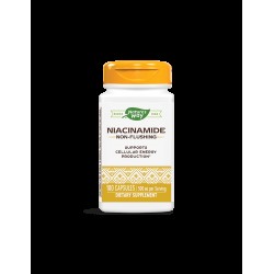 Niacinamide/ Ниацинамид (непредизвикващ зачервяване) 500 mg х 100 капсули  Nature’s Way