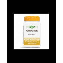 Choline/ Холин 500 mg х 100 таблетки Nature’s Way