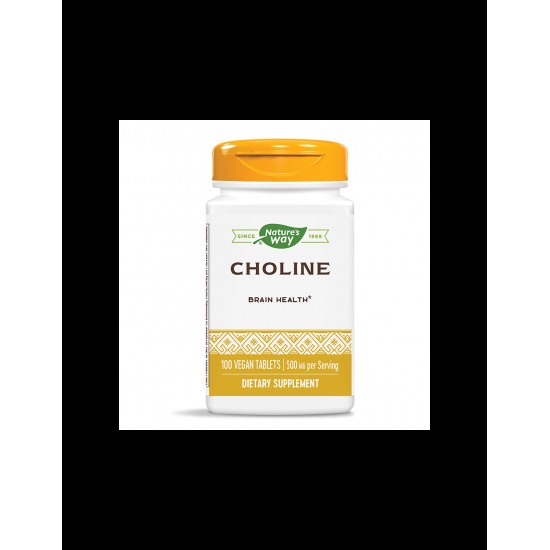 Choline/ Холин 500 mg х 100 таблетки Nature’s Way