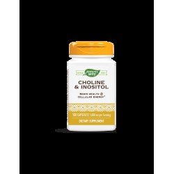 Choline & Inositol –Холин и инозитол - Невропротекция и метаболитен профил, 500 mg, 100 капсули Nature’s Way