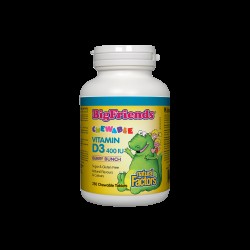 Vitamin D3 Big Friends®/ Витамин D3 за деца 400 IU х 250 дъвчащи таблетки с вкус горски плодове Natural Factors