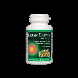 Lactase Enzyme / Лактаза ензим 250 mg х 60 капсули Natural Factors