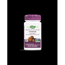 Chaga / Чага 480 mg x 30 капсули Nature’s Way