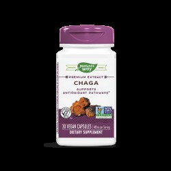 Chaga / Чага 480 mg x 30 капсули Nature’s Way