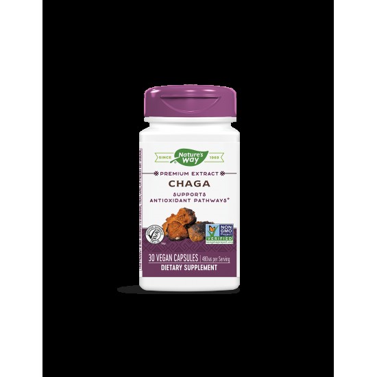 Chaga / Чага 480 mg x 30 капсули Nature’s Way