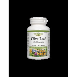 Olive Leaf / Маслина (лист) 500 mg х 90 капсули Natural Factors