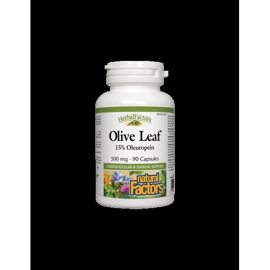 Olive Leaf / Маслина (лист) 500 mg х 90 капсули Natural Factors