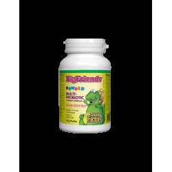 Multi-Probiotic Powder Big Friends®/ Мулти пробиотик за деца 3 млрд. активни пробиотици x 60 g пудра Natural Factors