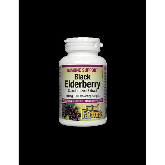 Black Elderberry Standardized Extract / Черен бъз /Стандартизиран екстракт/, 100 mg, 60 бързоусвоими софтгел капсули Natural Factors