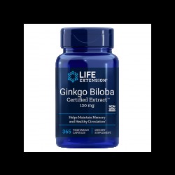 Ginkgo Biloba Certified Extract™ / Гинко билоба 120 mg х 365 капсули