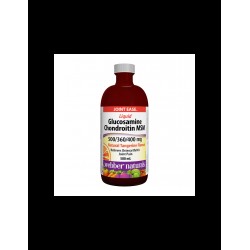 Liquid  Glucosamine Chondroitin MSM – Течен глюкозамин, хондроитин и МСМ, 500 ml, с вкус на портокал и мандарина