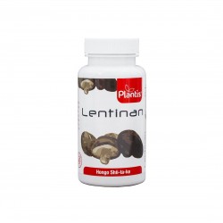 Lentinan - Шийтаке 400 mg, 60 капсули Artesania