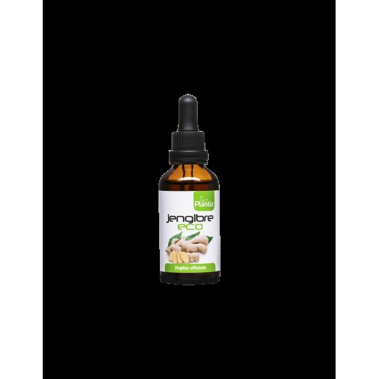 Jengibre Eco – Джинджифил (тинктура), 50 ml Artesania